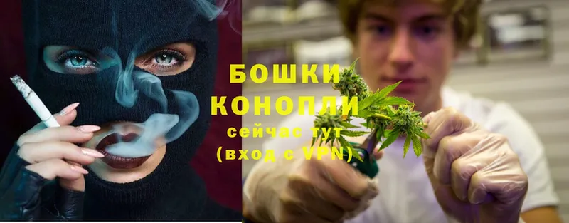 что такое наркотик  Благодарный  Бошки Шишки THC 21% 